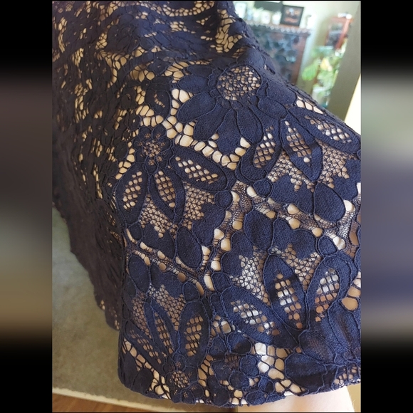 London Times Women's Plus Size (16W) Flower Bloom Lace Fit and Flare Dress - Picture 13 of 15